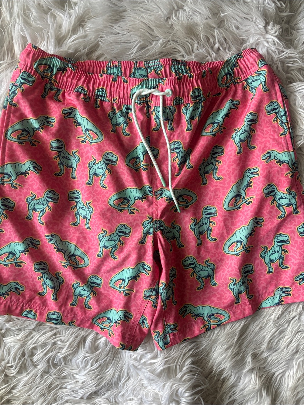Men's Pink Dino Print Swim Shorts